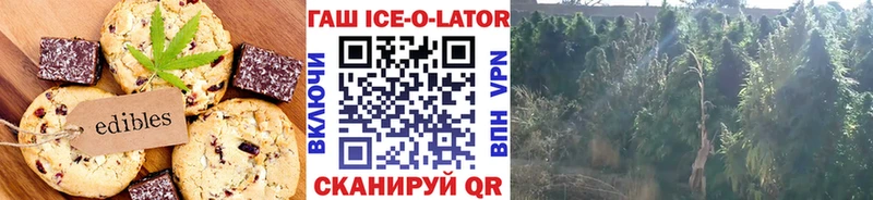 купить наркотики сайты  Сенгилей  Cannafood конопля 