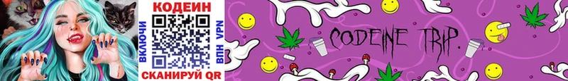 Codein Purple Drank  Сенгилей 