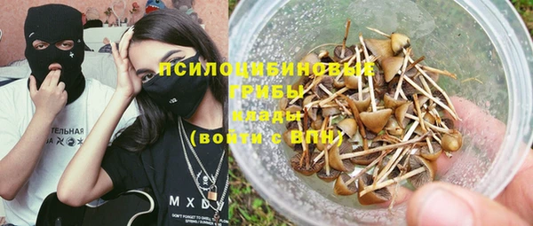 прущие грибы Куйбышев