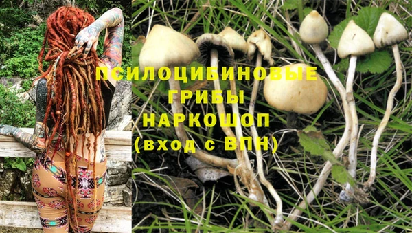 гашиш Арсеньев