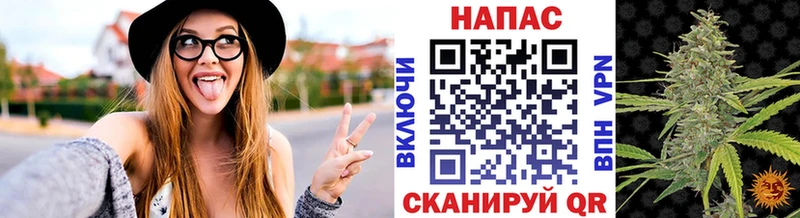 Конопля план  Сенгилей 